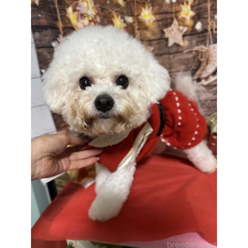 アーナちゃん1枚目