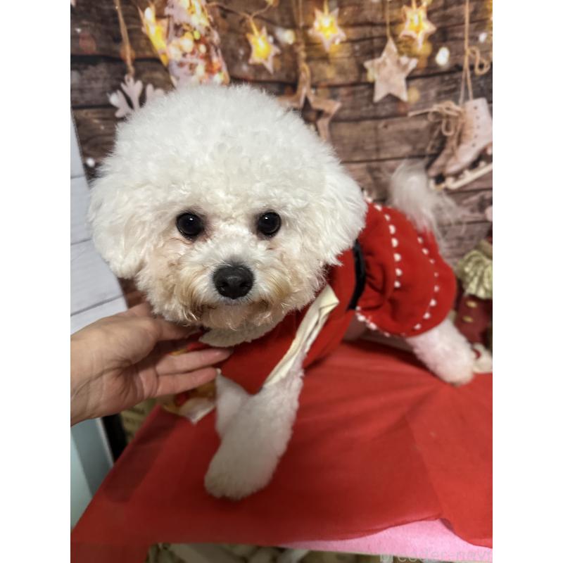 アーナちゃん1枚目