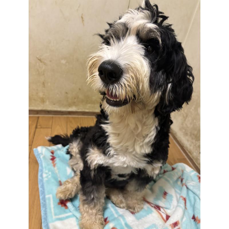 Kanoaちゃん1枚目