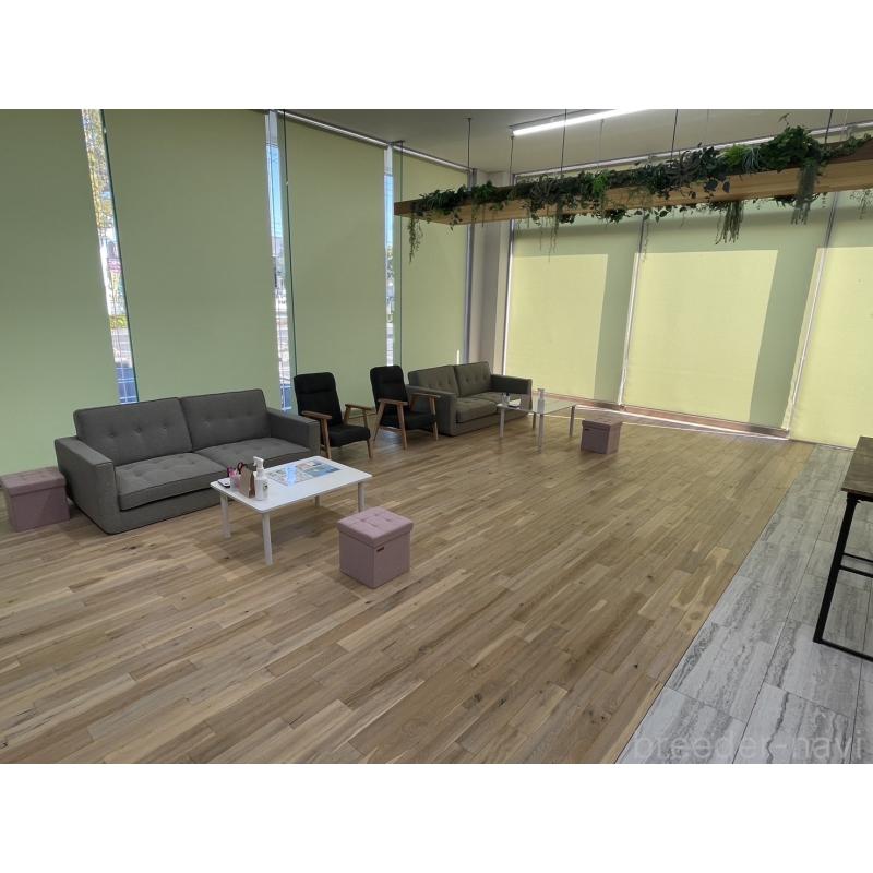 販売中の岐阜県のトイプードル-442920の2枚目