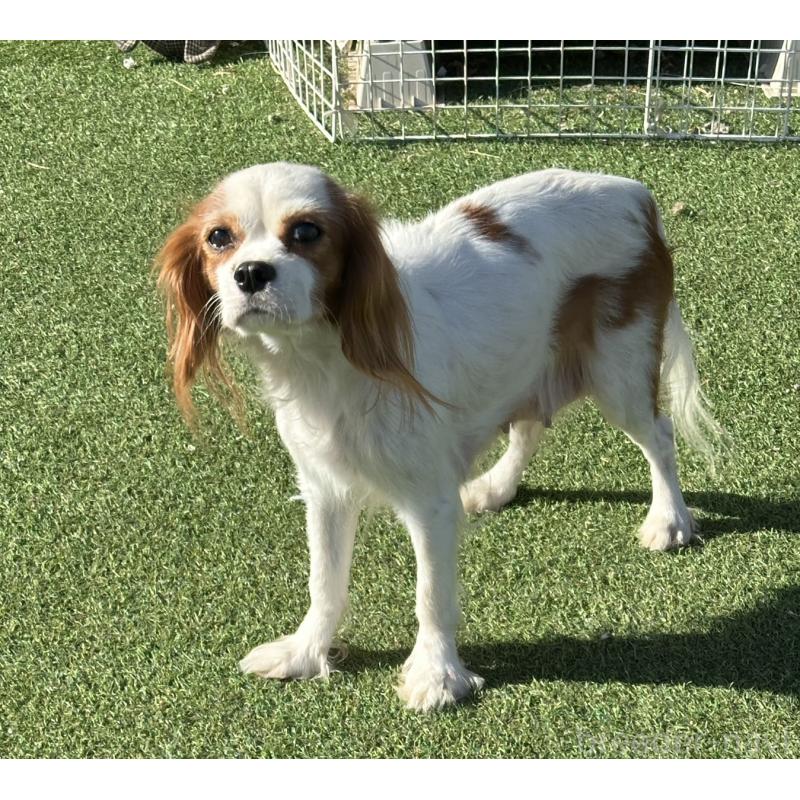 ひまわりちゃん1枚目