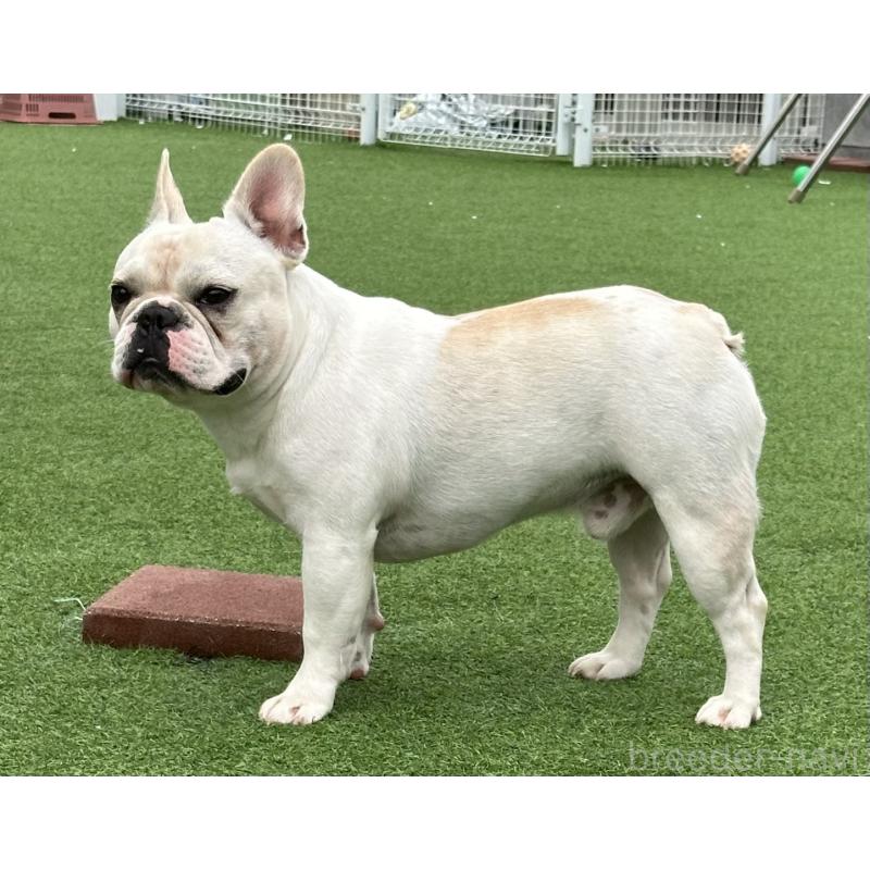 ふうたろうくん1枚目