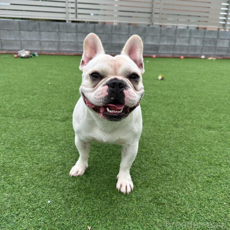 ふうたろうくん1枚目