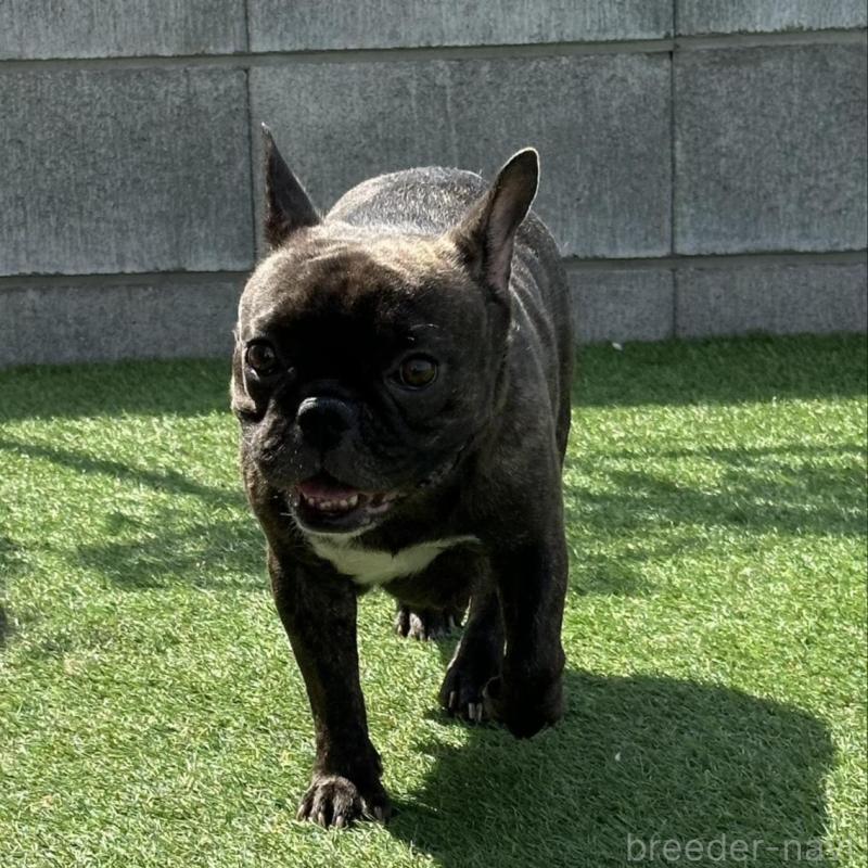 びびちゃん1枚目