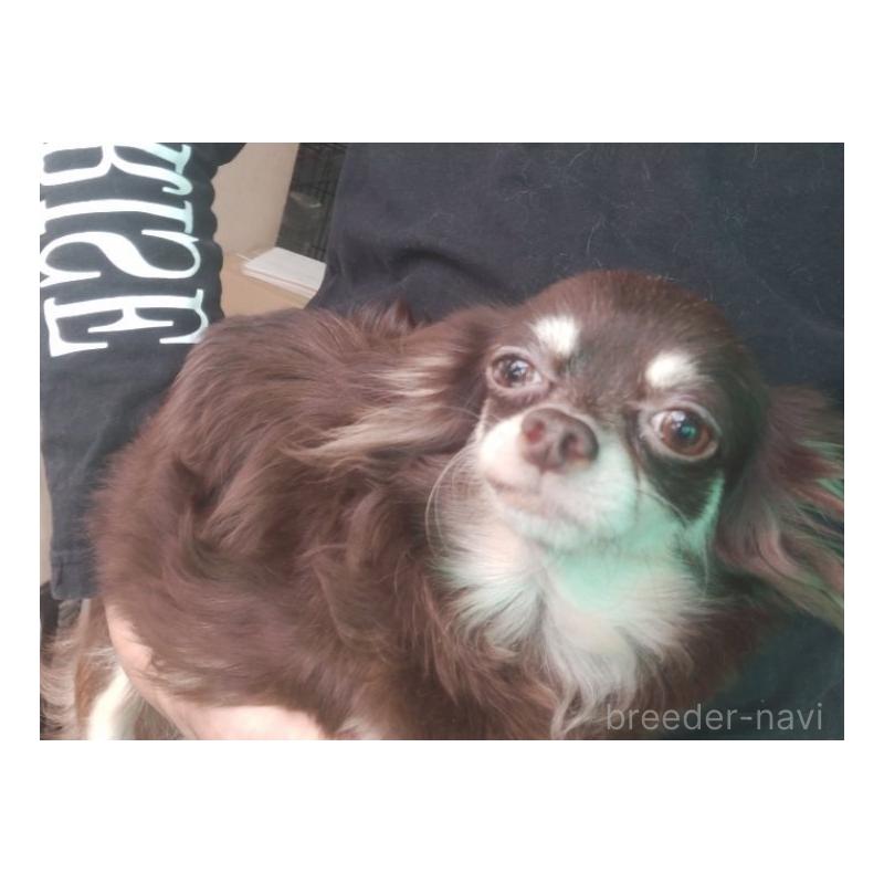 きよこちゃん1枚目