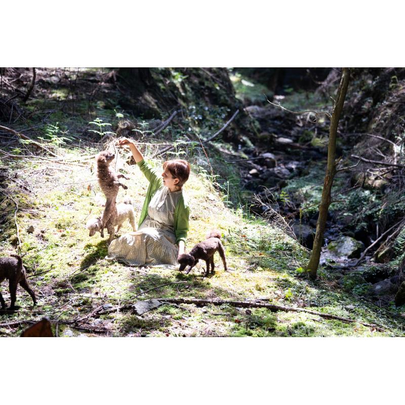 販売中の大阪府のトイプードル-443063の9枚目