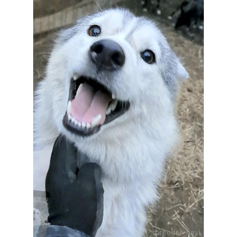 はなちゃん1枚目