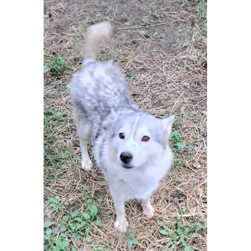 はなちゃん1枚目