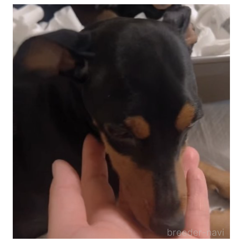 アマちゃん1枚目