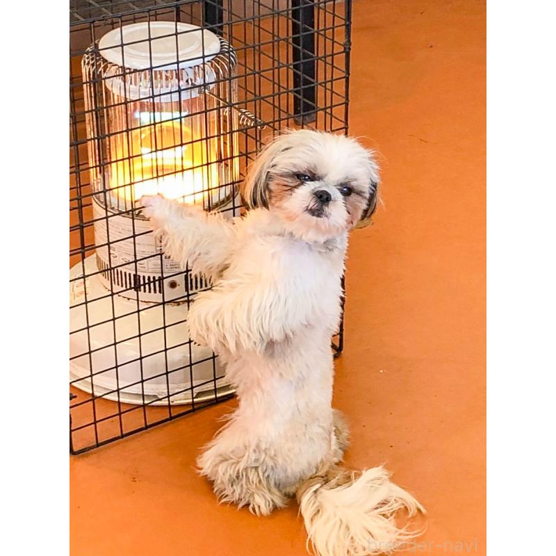 れいちゃん1枚目