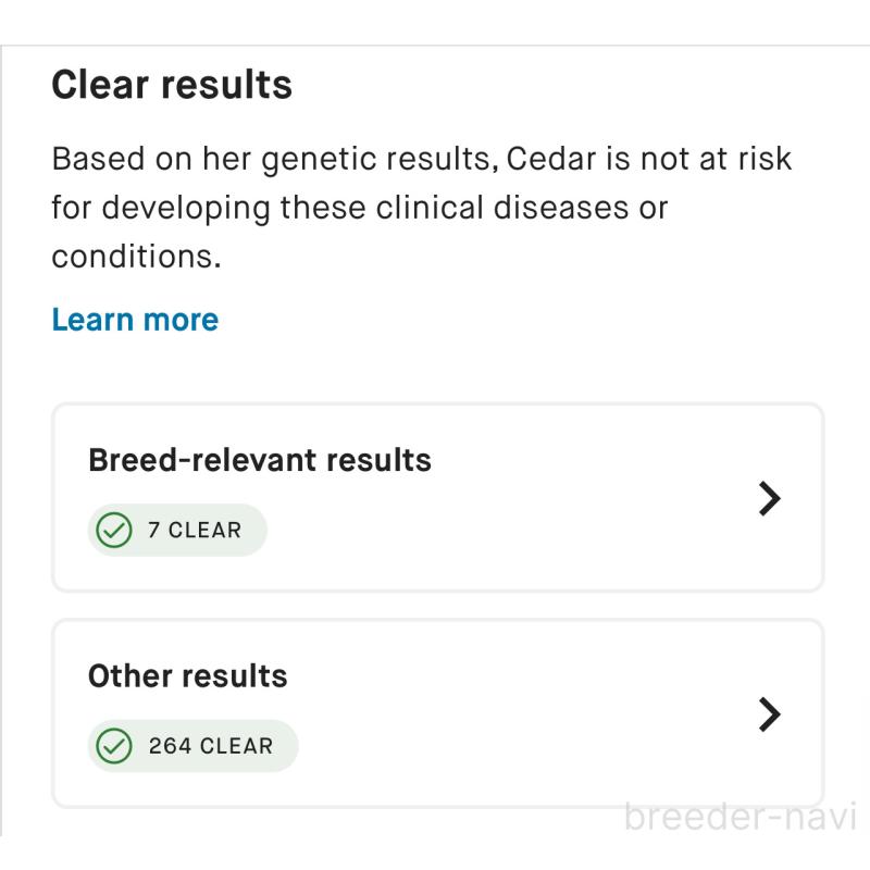 シーダー(しーちゃん)ちゃん1枚目