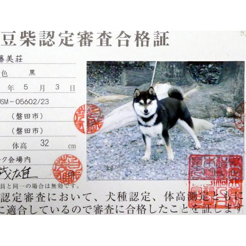 輝之介くん1枚目