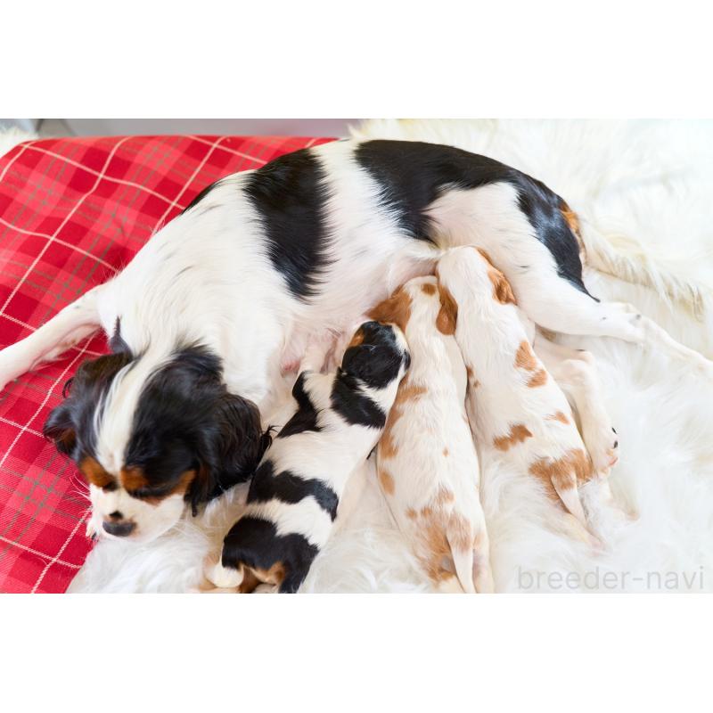 サンちゃん1枚目