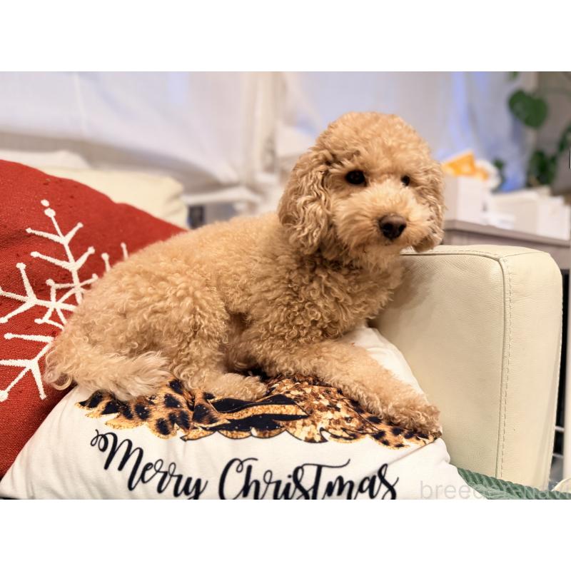 スッチちゃん1枚目