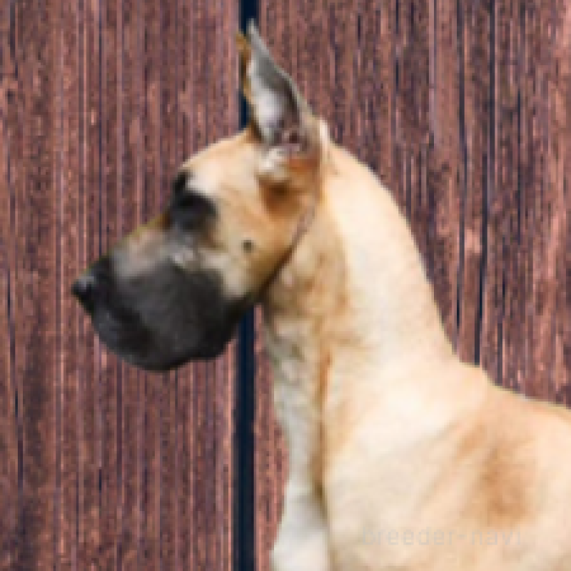 ママちゃん1枚目