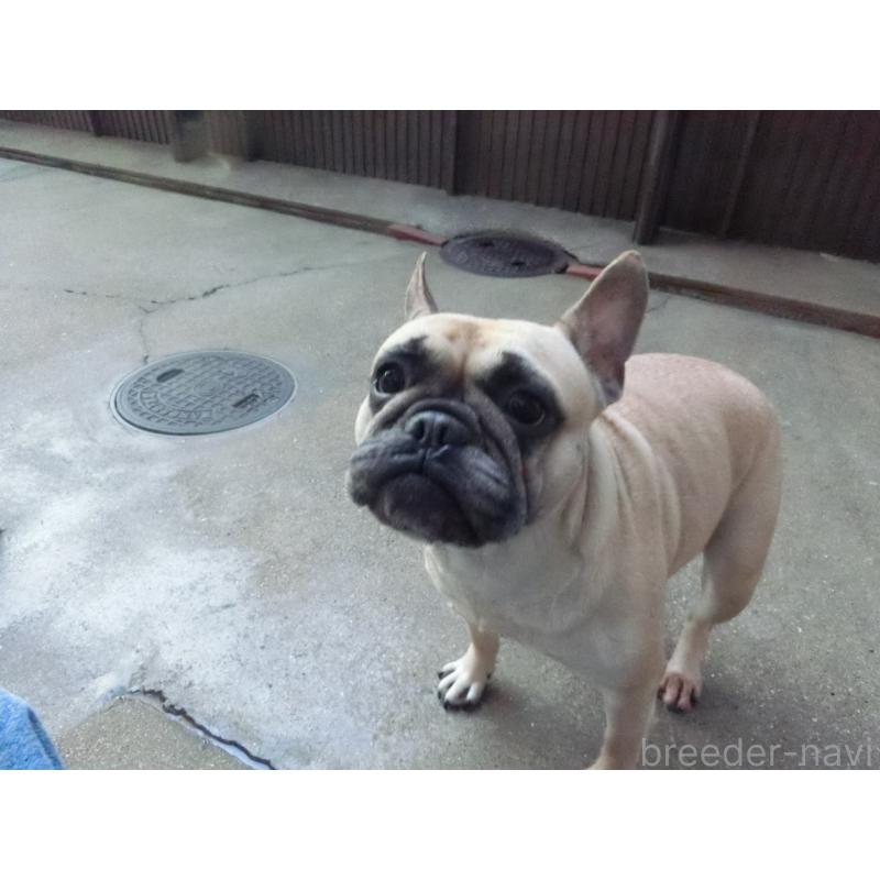 カナちゃん1枚目