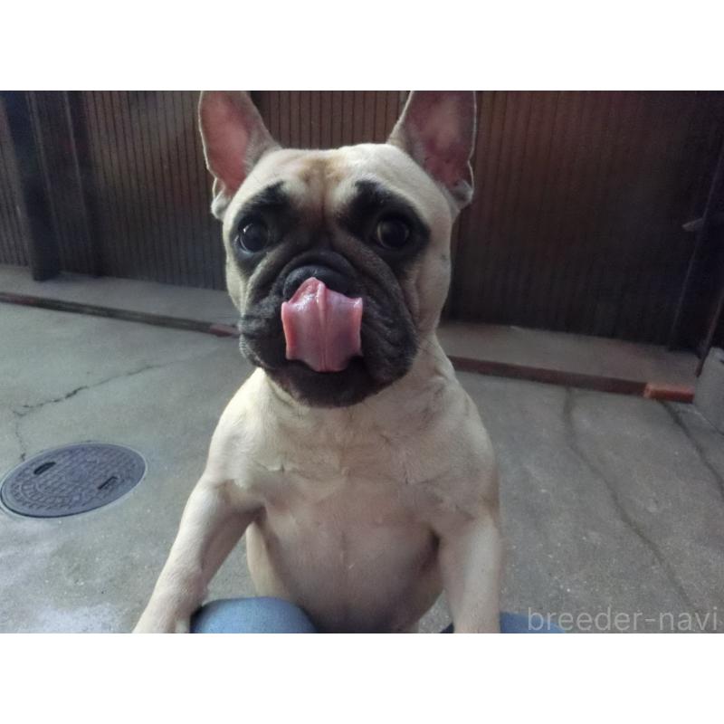 カナちゃん1枚目