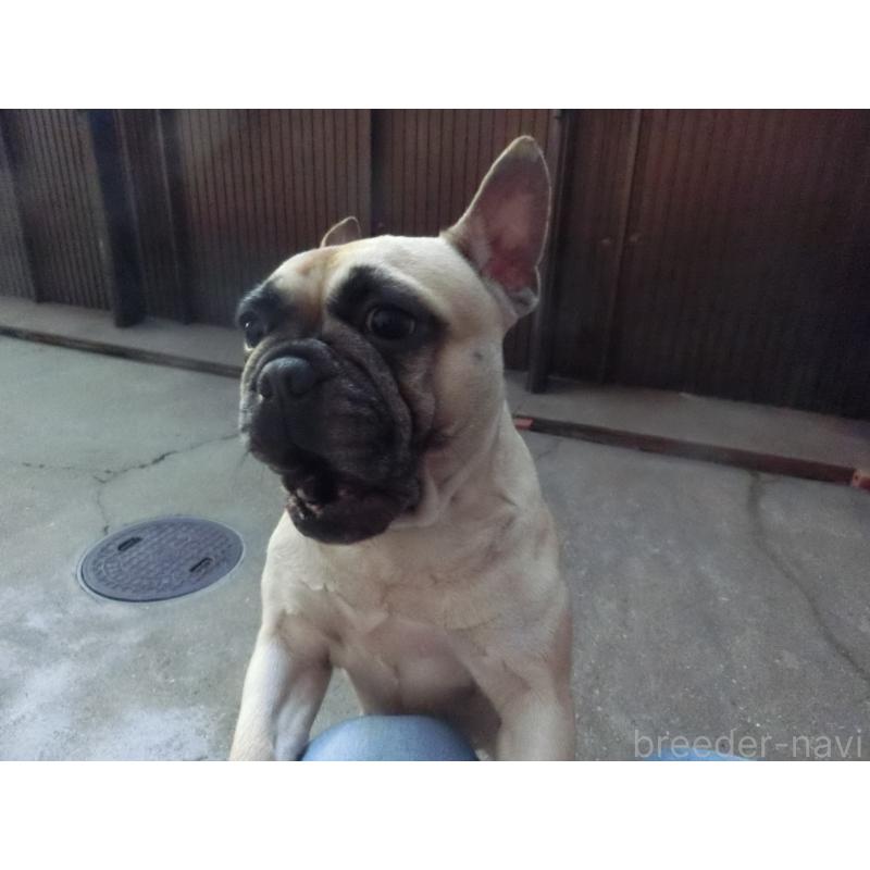 カナちゃん1枚目