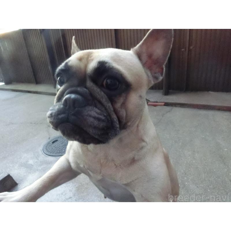 カナちゃん1枚目