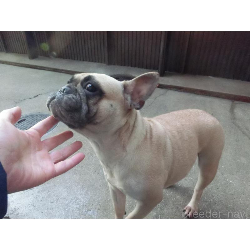 カナちゃん1枚目