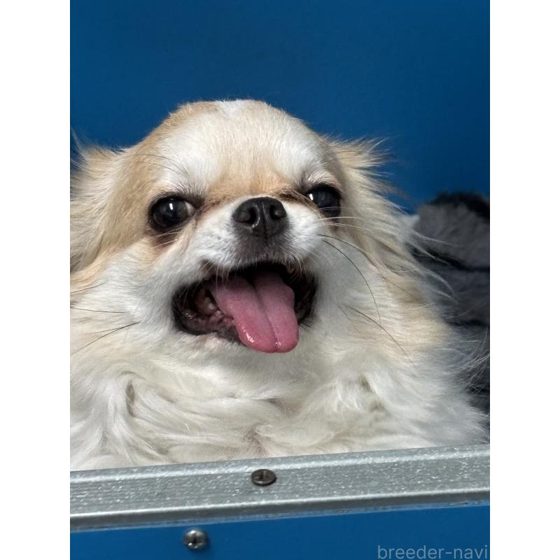 メイちゃん1枚目