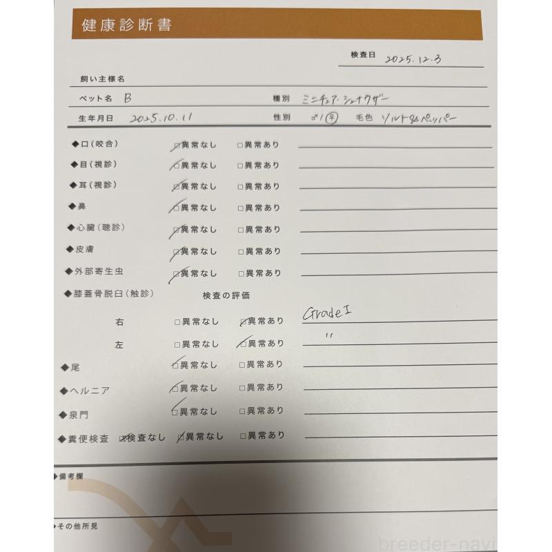 販売中の埼玉県のミニチュアシュナウザー-444292の2枚目