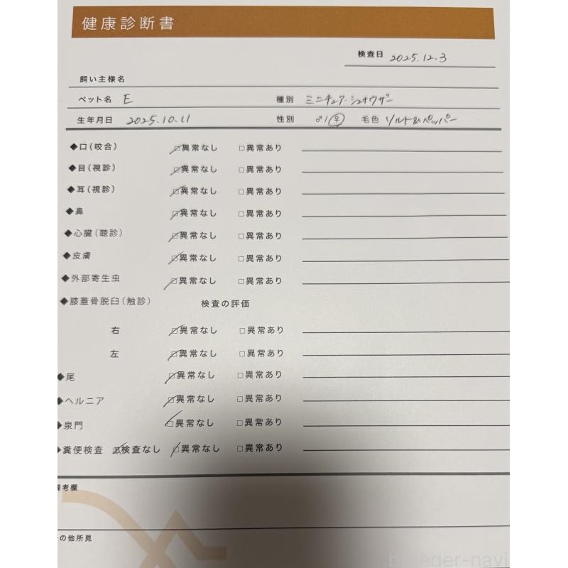 販売中の埼玉県のミニチュアシュナウザー-444294の2枚目