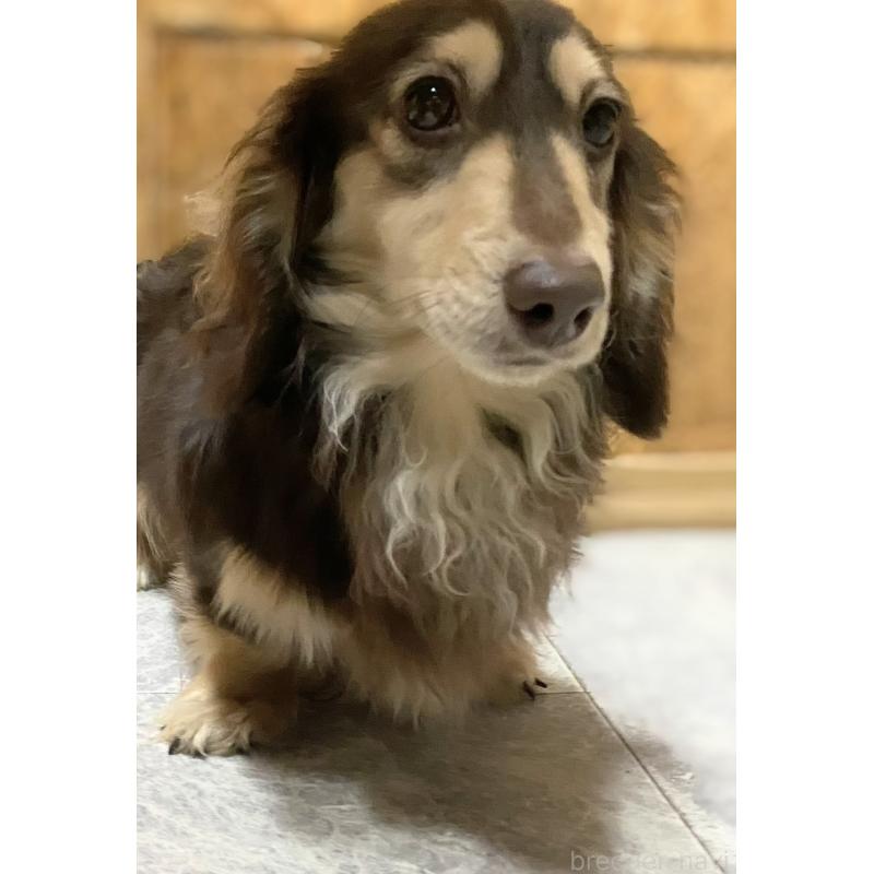 ポッキーくん1枚目