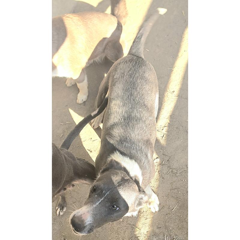 しほちゃん1枚目