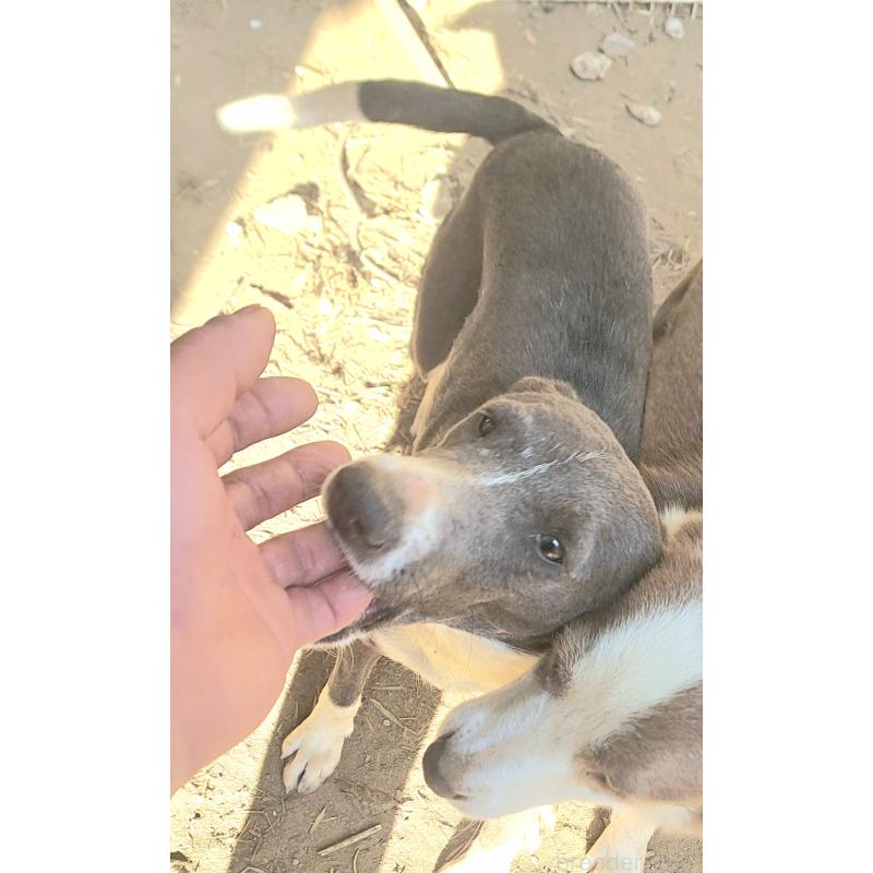 しほちゃん1枚目