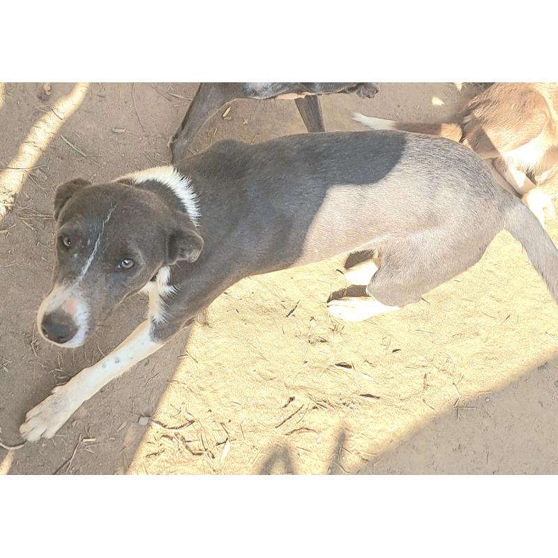 しほちゃん1枚目