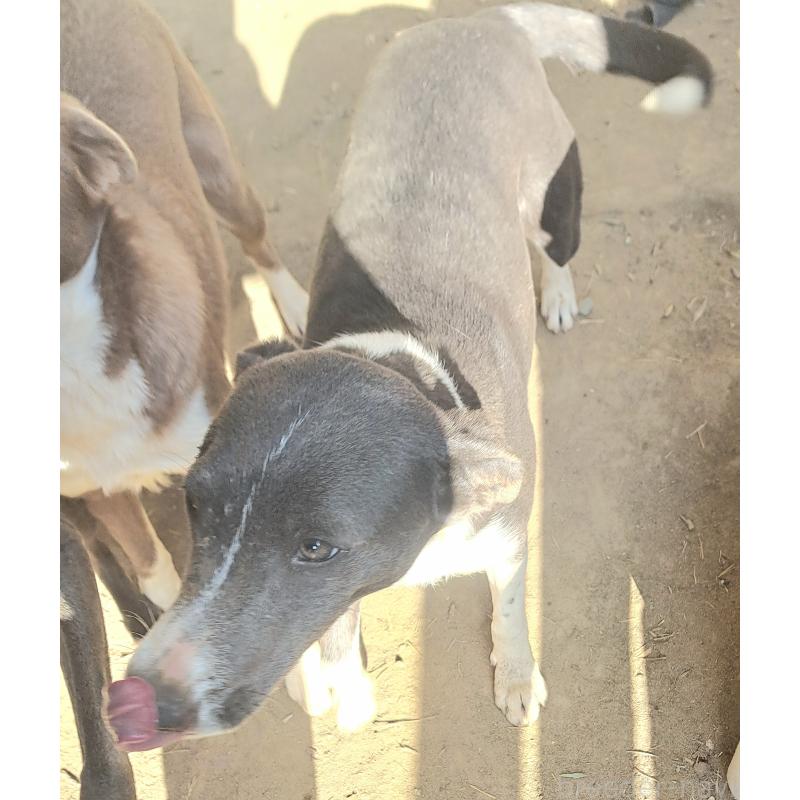 しほちゃん1枚目