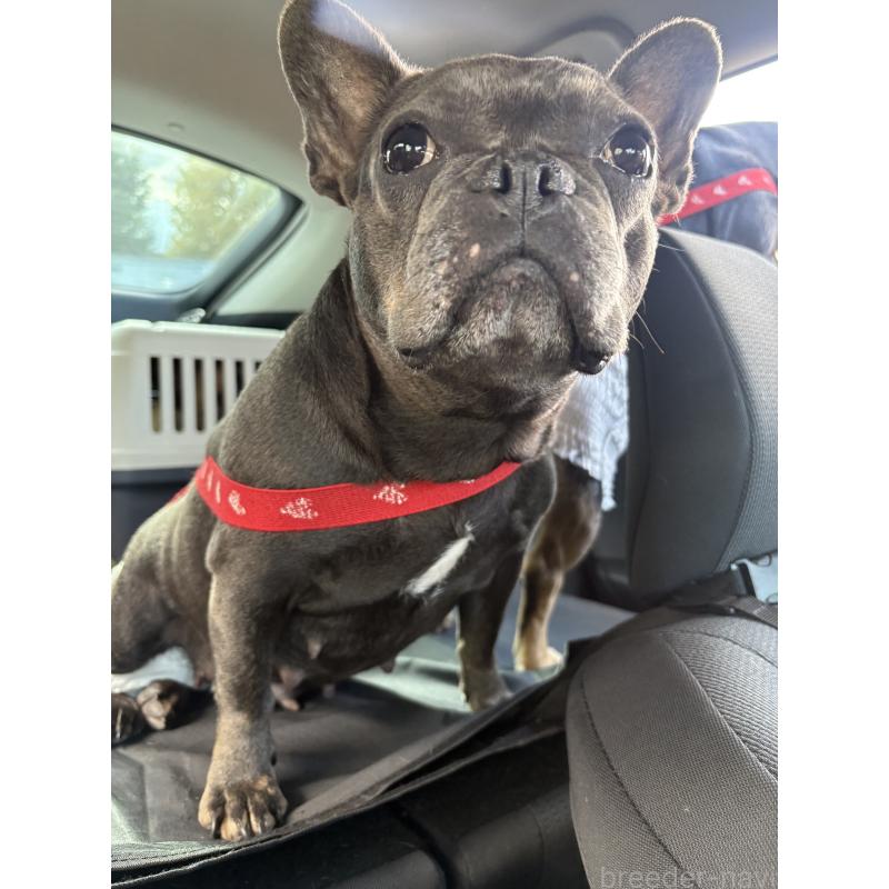 リッチくんくん1枚目