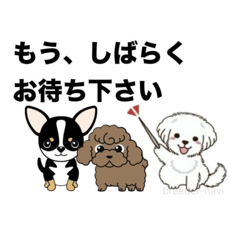 ミコちゃん1枚目