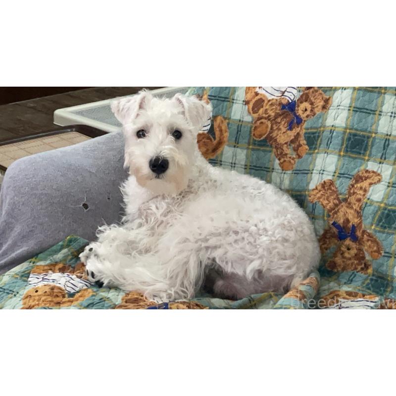 マロ君くん1枚目