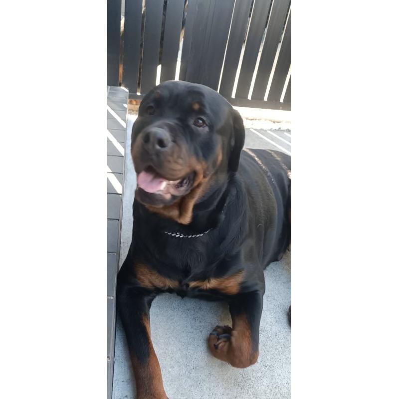 およめちゃんちゃん1枚目