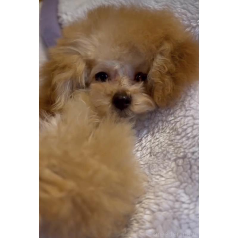 まおちゃん1枚目