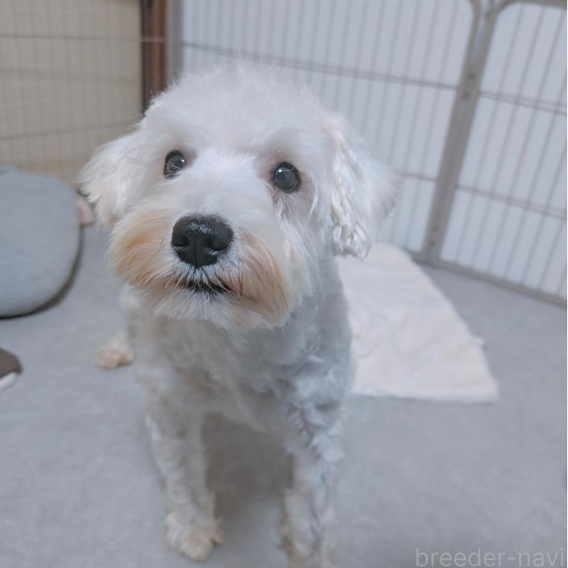 ユキちゃん1枚目