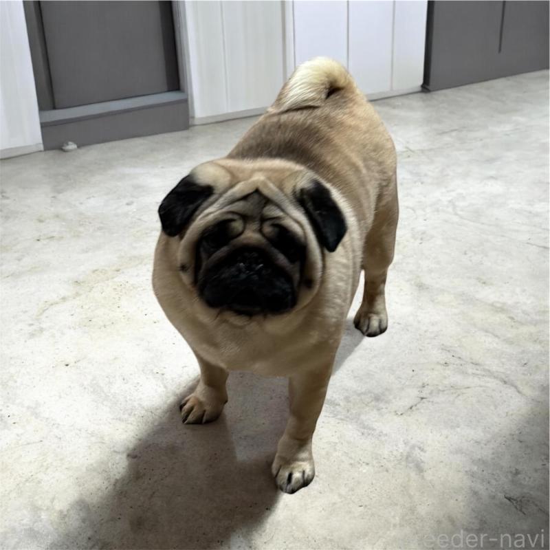 ダイスケくんくん1枚目