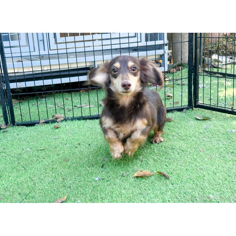 アルファちゃんくん1枚目