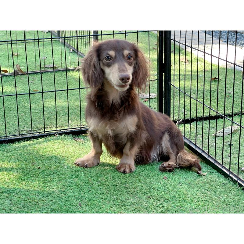 アルファちゃんくん1枚目