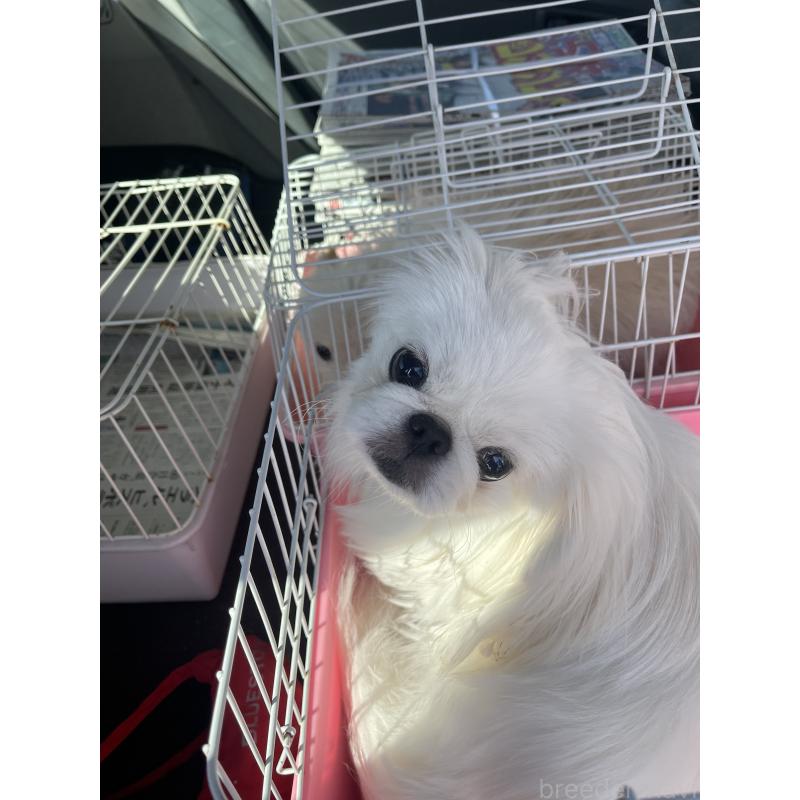 エディくん1枚目