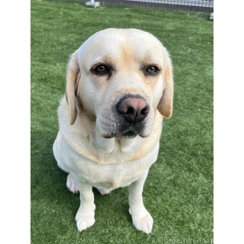 LIEN  リアンくん1枚目