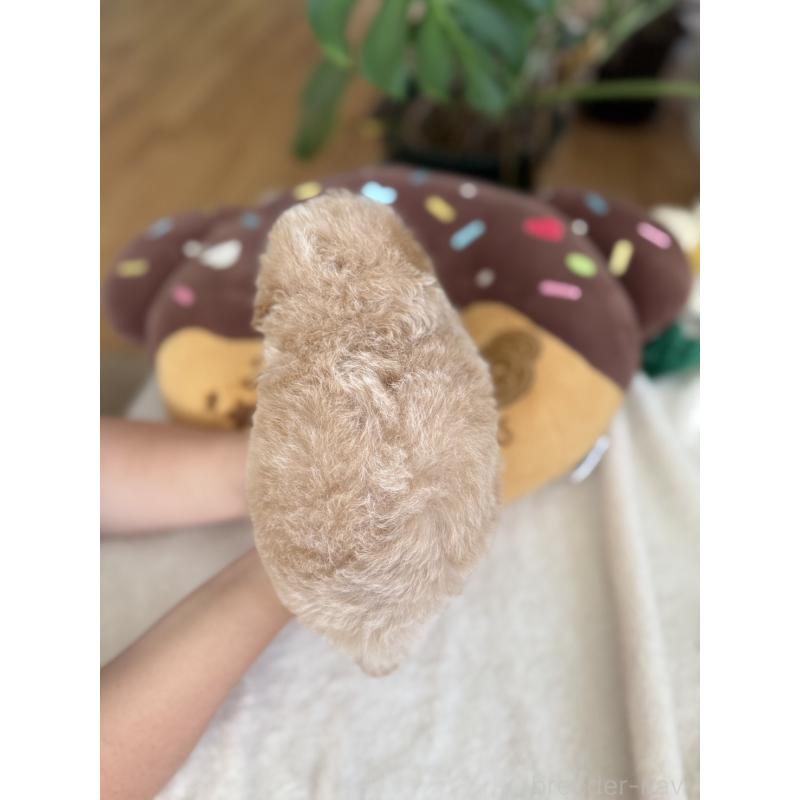 販売中の埼玉県のビションプー:ビションフリーゼ×トイプードル-447403の2枚目