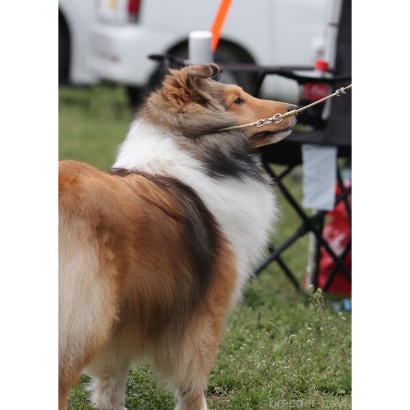 りこちゃん1枚目