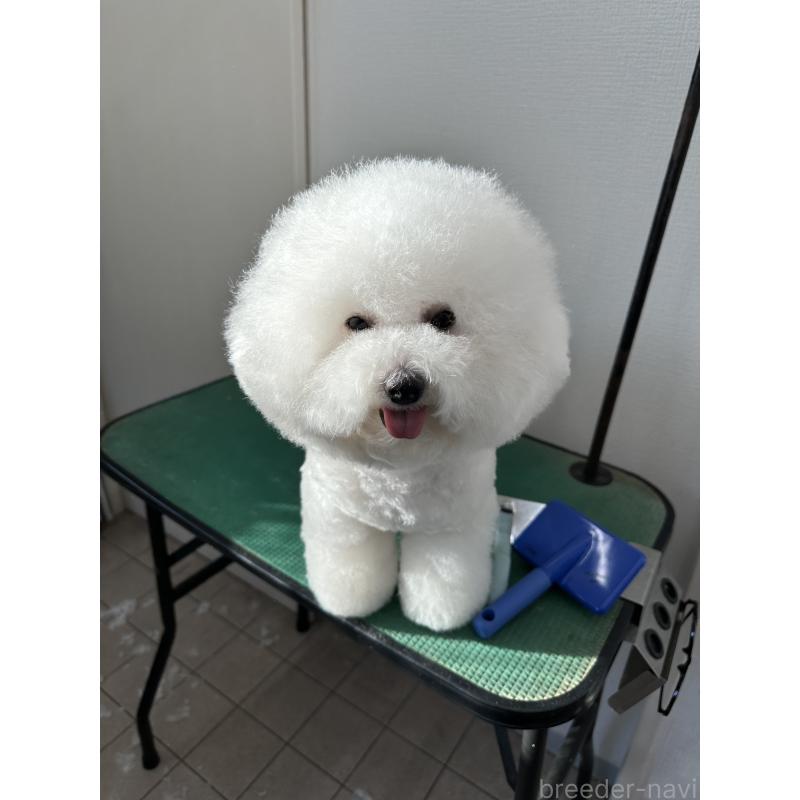 うゆちゃん1枚目