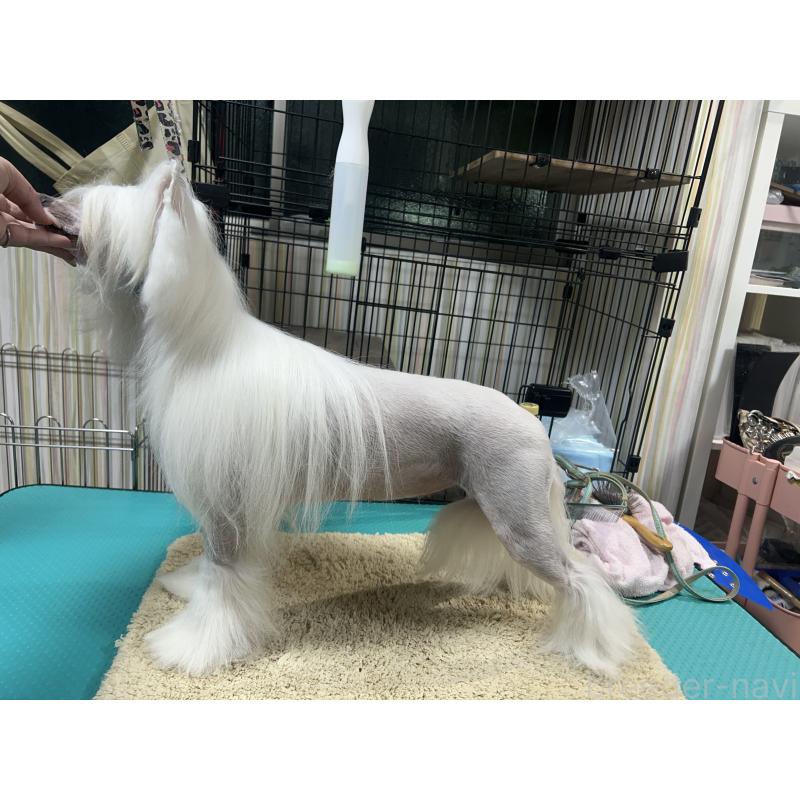 SINDYちゃん1枚目