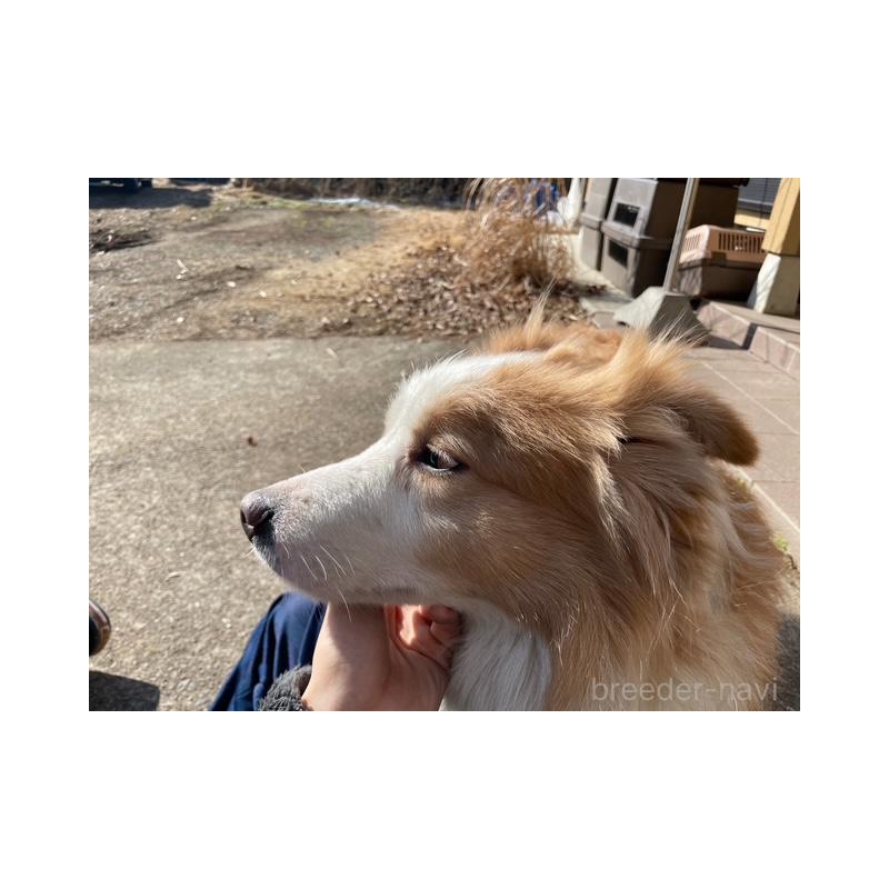 ライアンくん1枚目