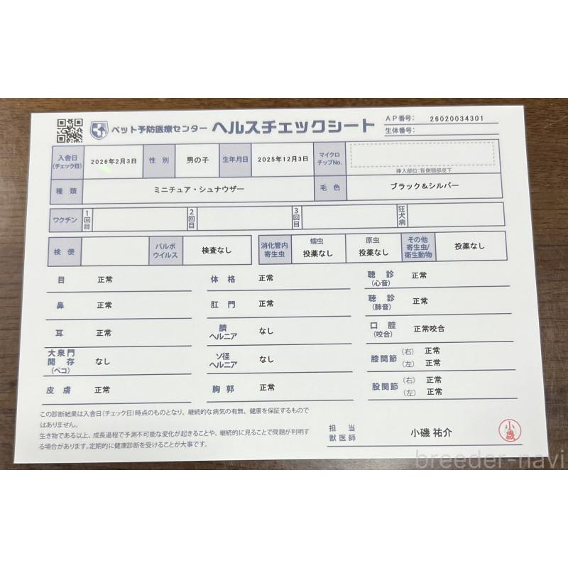 販売中の茨城県のミニチュアシュナウザー-448975の2枚目