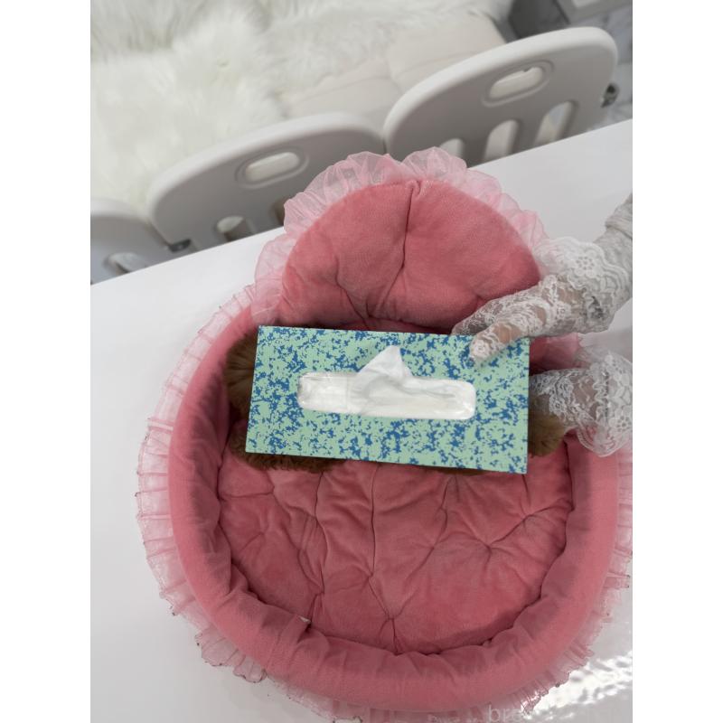 販売中の山梨県のティーカッププードル-441224の2枚目